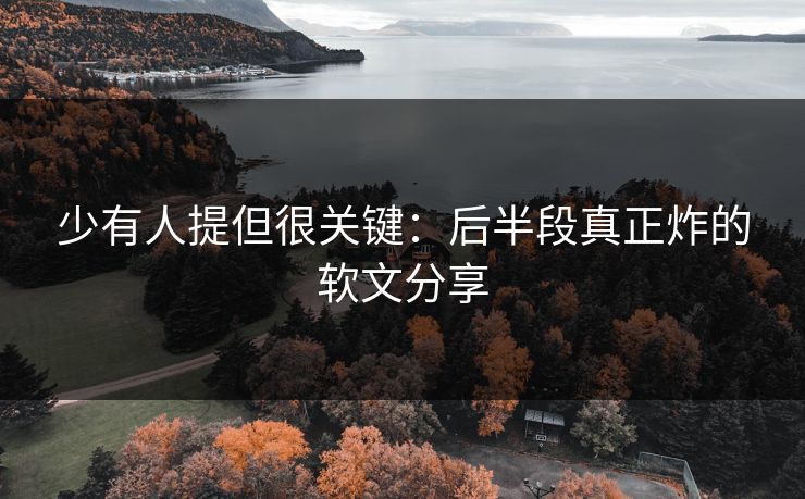 少有人提但很关键：后半段真正炸的软文分享