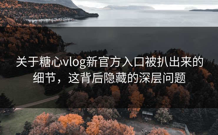 关于糖心vlog新官方入口被扒出来的细节，这背后隐藏的深层问题