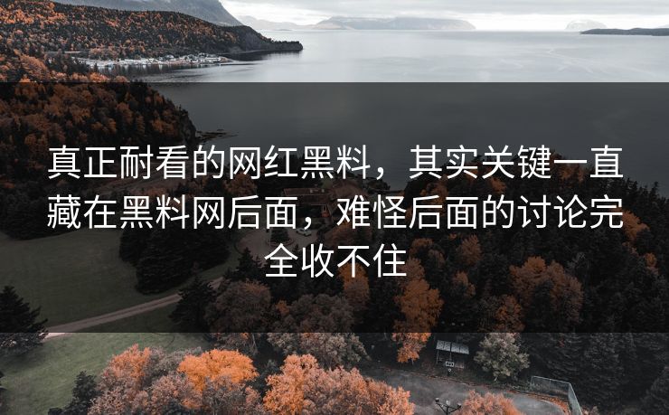 真正耐看的网红黑料,其实关键一直藏在黑料网后面,难怪后面的讨论完全收不住