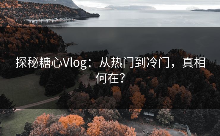 探秘糖心Vlog：从热门到冷门，真相何在？