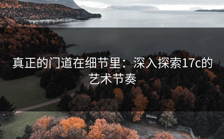 真正的门道在细节里：深入探索17c的艺术节奏